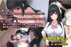 【互动触摸SLG/生肉/全动态】希望被弟袭击的姐姐 LIVE2D V1.04 步兵完全版【1.3G/CV/更新】-IS充值【37】