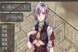 [RPG/中文/动态]奴隶女仆与报酬迷宫 BOKIBOKI官方中文步兵版[新作][500M/百度]』-IS充值【37】