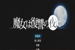 [史诗ACT/汉化/全动态]魔女复仇之夜 V1.07 完整汉化步兵版+全存档[新汉化/CV/2G]』-IS充值【37】