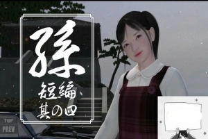 【PC/日文/3D互动/开小车】孙花子/环/公子/咲全系列整合 1~4完整版【1.7G】-IS充值【37】