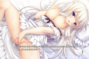 [ADV/汉化] 候鸟的梦 Pieces 渡り鳥のソムニウム 汉化版电脑 [4.4G]-IS充值【37】