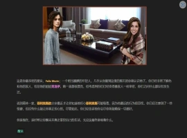 [HTML/浏览器汉化] 我的朋友 Friends of Mine V1.4 浏览器转中文 电脑 [2.5G]-IS充值【37】