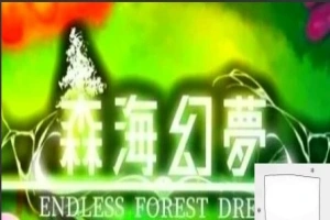 【2D/肉鸽ACT/中文】森海幻梦 V20230821 STEAM官方中文步兵版电脑【300M】-IS充值【37】