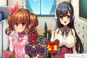 【2D/ADV/中文】我可是御宅社团的公主! V1.10 双端中文版【800M】-IS充值【37】