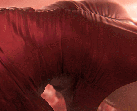 【神級3D/全動态】Nagoonimation：艾達王-觸手巢穴 4K步兵版【動畫/新作/1.6G】-IS充值【37】